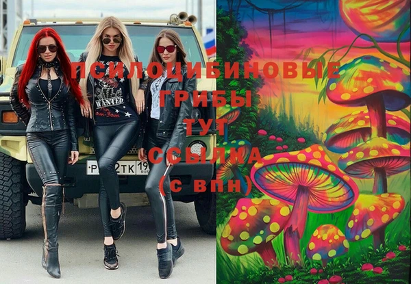 mdpv Дмитриев