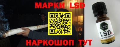 дмт Кудрово