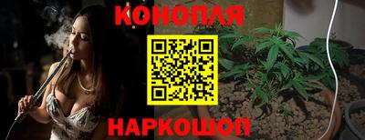 дмт Кудрово
